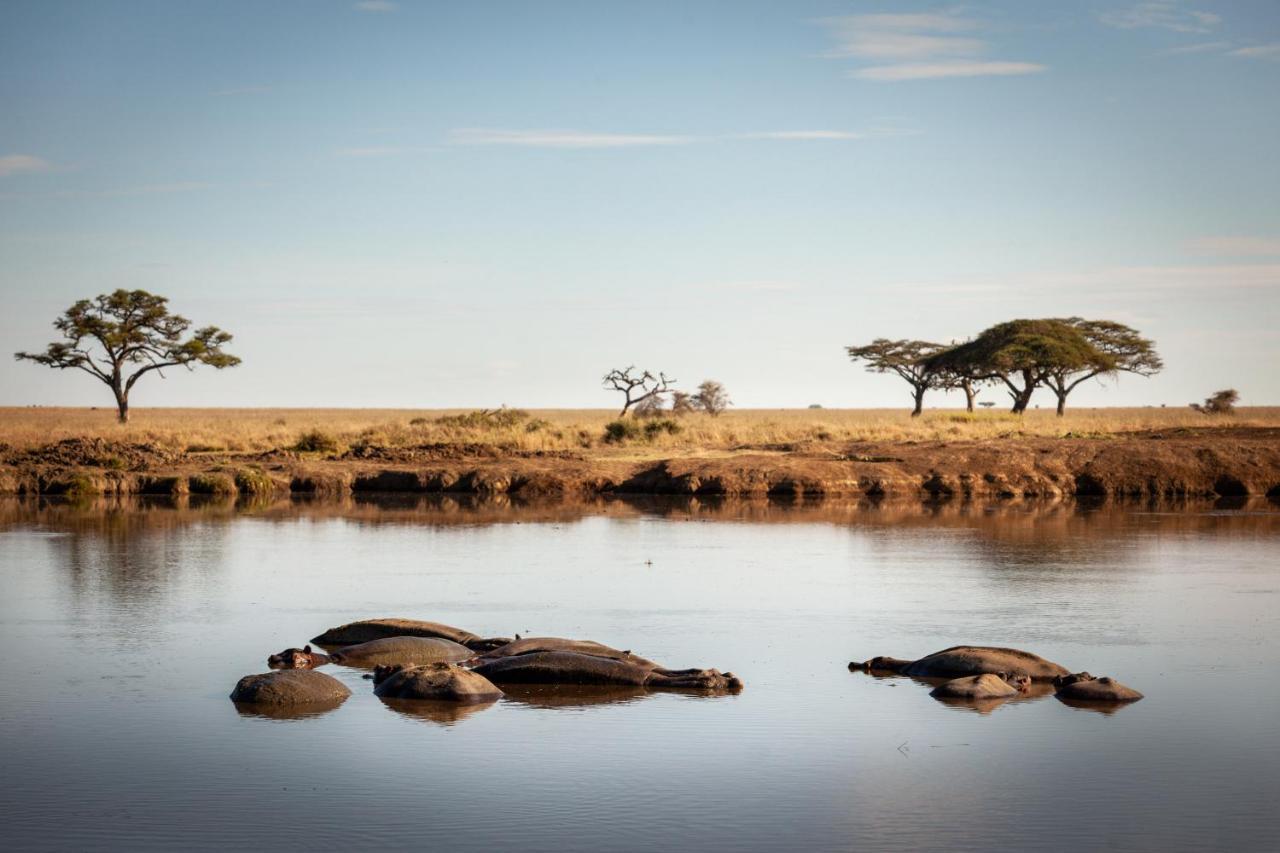 Mawe Tented Camp Serengeti Buitenkant foto