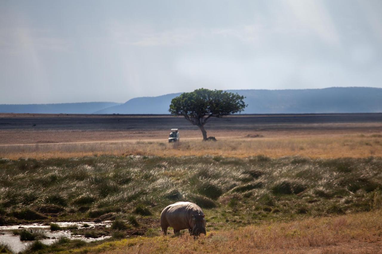 Mawe Tented Camp Serengeti Buitenkant foto