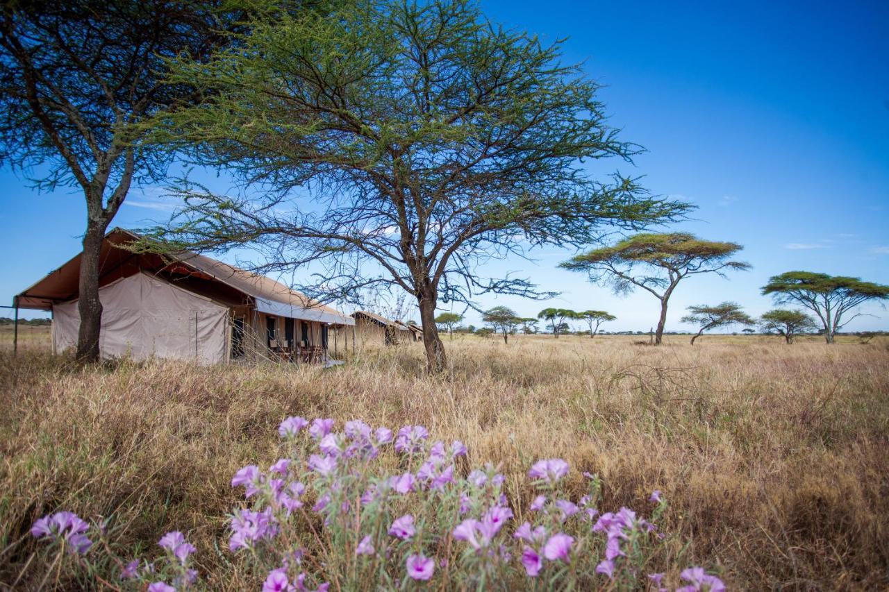 Mawe Tented Camp Serengeti Buitenkant foto
