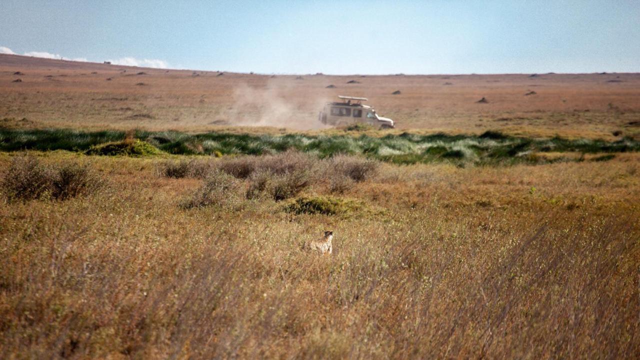 Mawe Tented Camp Serengeti Buitenkant foto