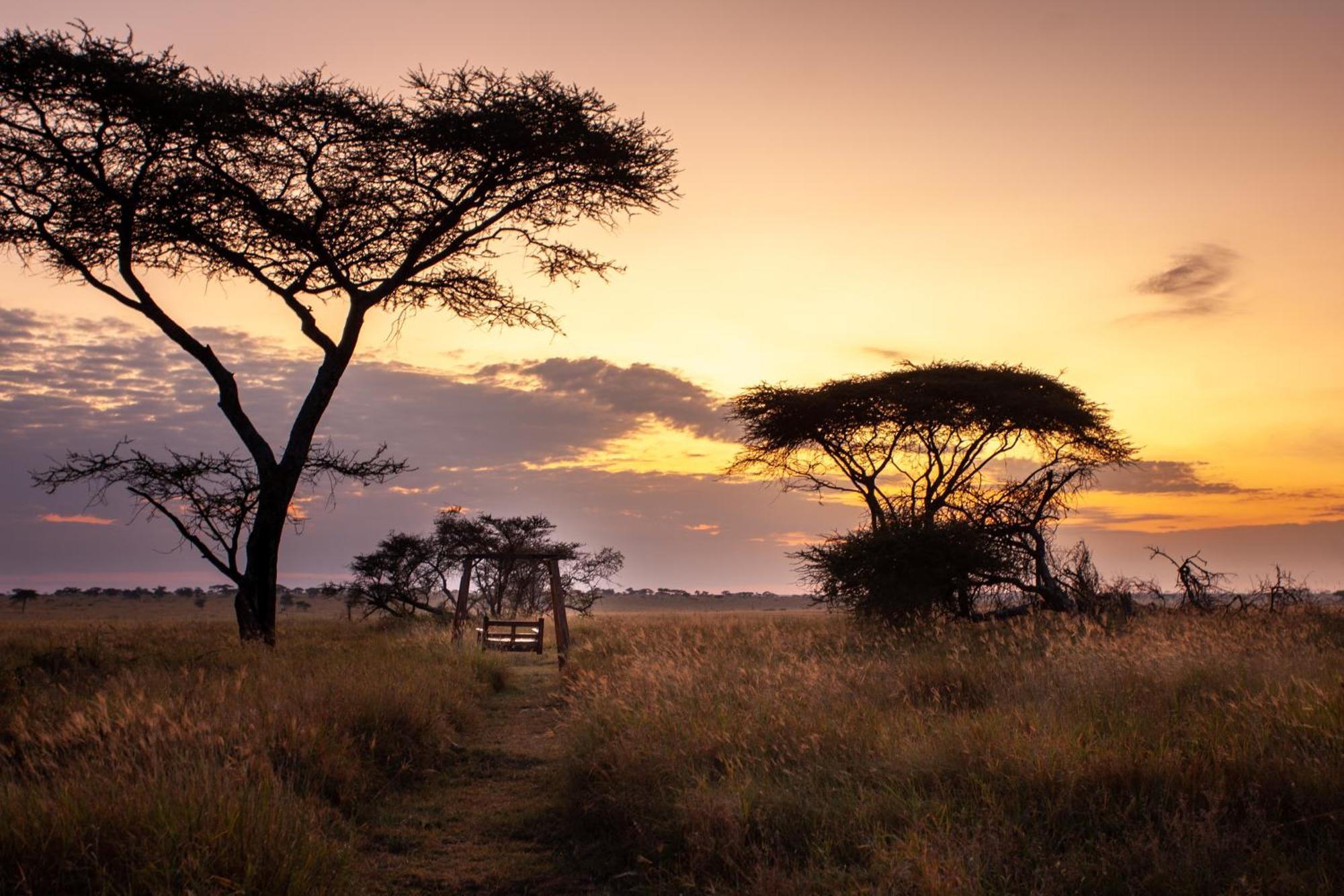 Mawe Tented Camp Serengeti Buitenkant foto